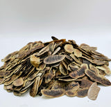 Biolevita Senna Pods