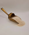 Blond Psyllium Husk